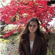 Private Nachhilfe von erfahrenem Biologielehrer in Frankfurt/Main